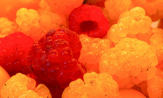 本赛季的客 本赛季的客