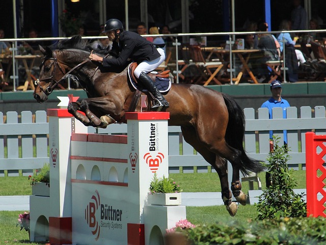 是不可戰勝 是不可戰勝