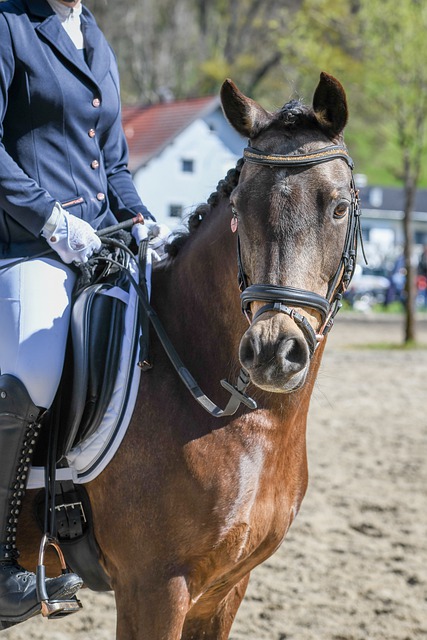 燃了球迷的 燃了球迷的