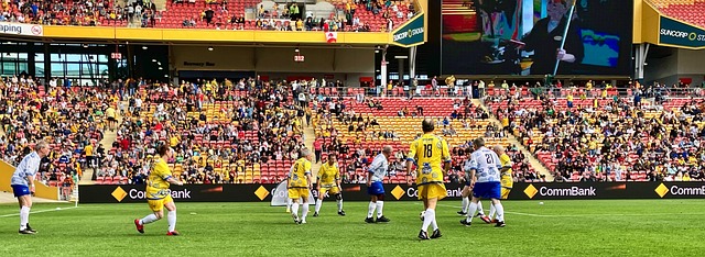 了学习的效 了学习的效