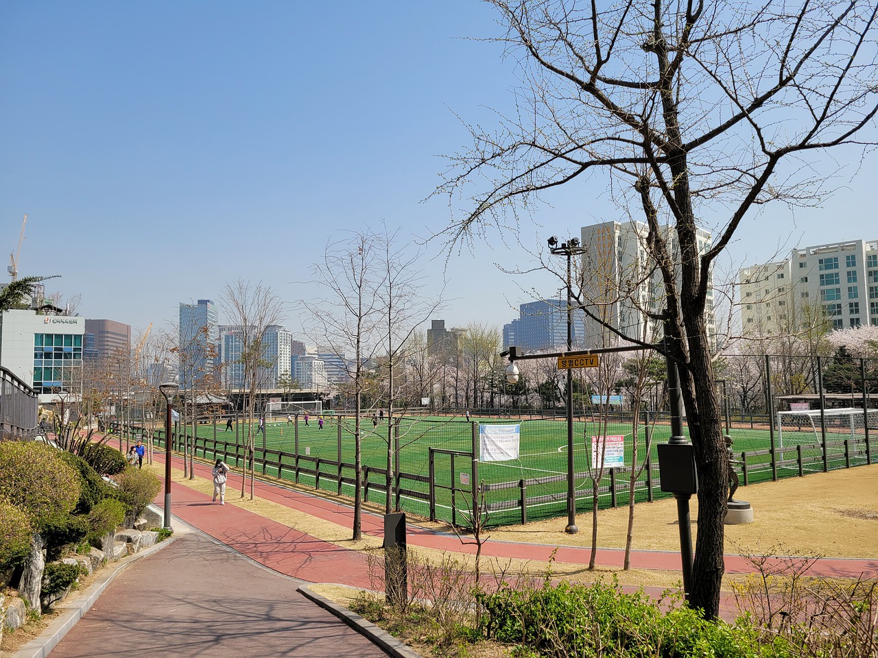 提升本地青 提升本地青