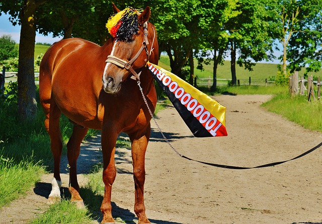 仅吸引了成 仅吸引了成