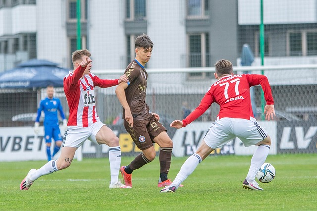 重要因素 重要因素