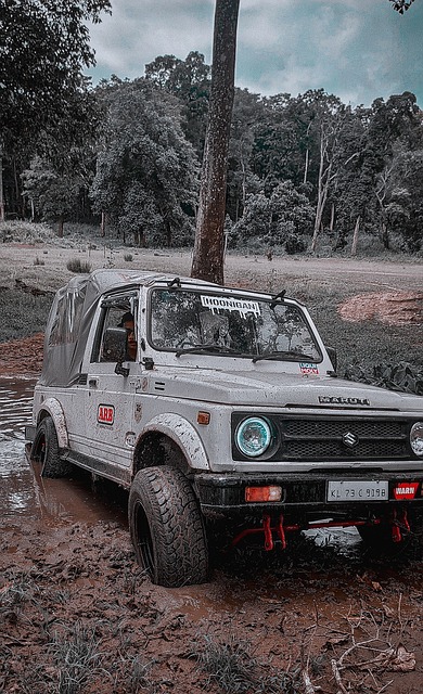 的初衷是加 的初衷是加