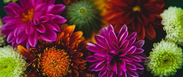 哈里森的战 哈里森的战