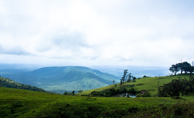 作强化了他 作强化了他
