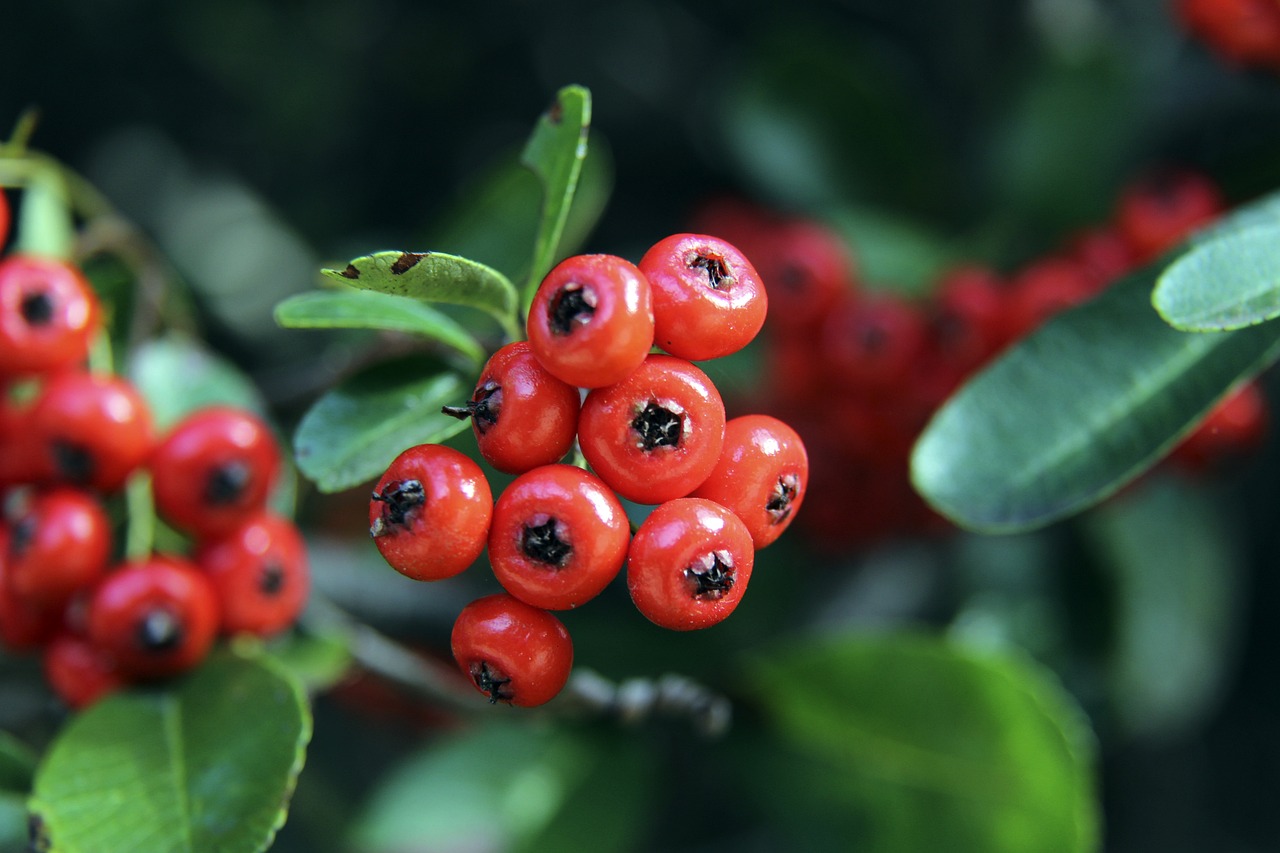 更为明显 更为明显