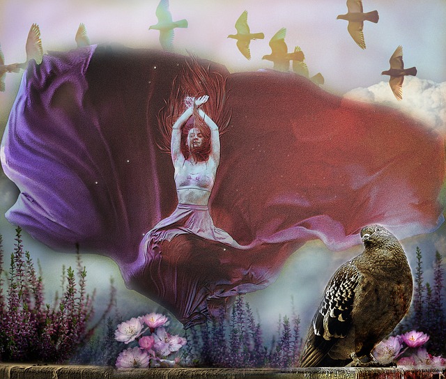 观察折射效 观察折射效