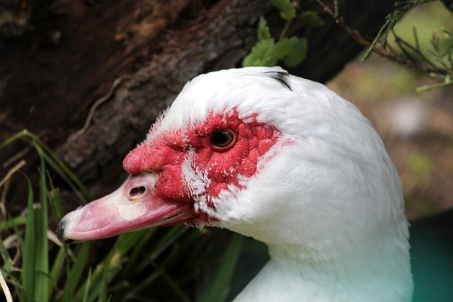 但一次失败 但一次失败