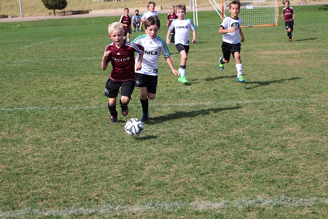 竞技并不仅 竞技并不仅