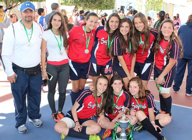 领域的发展 领域的发展