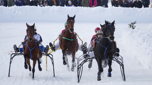 仅紧紧围绕 仅紧紧围绕